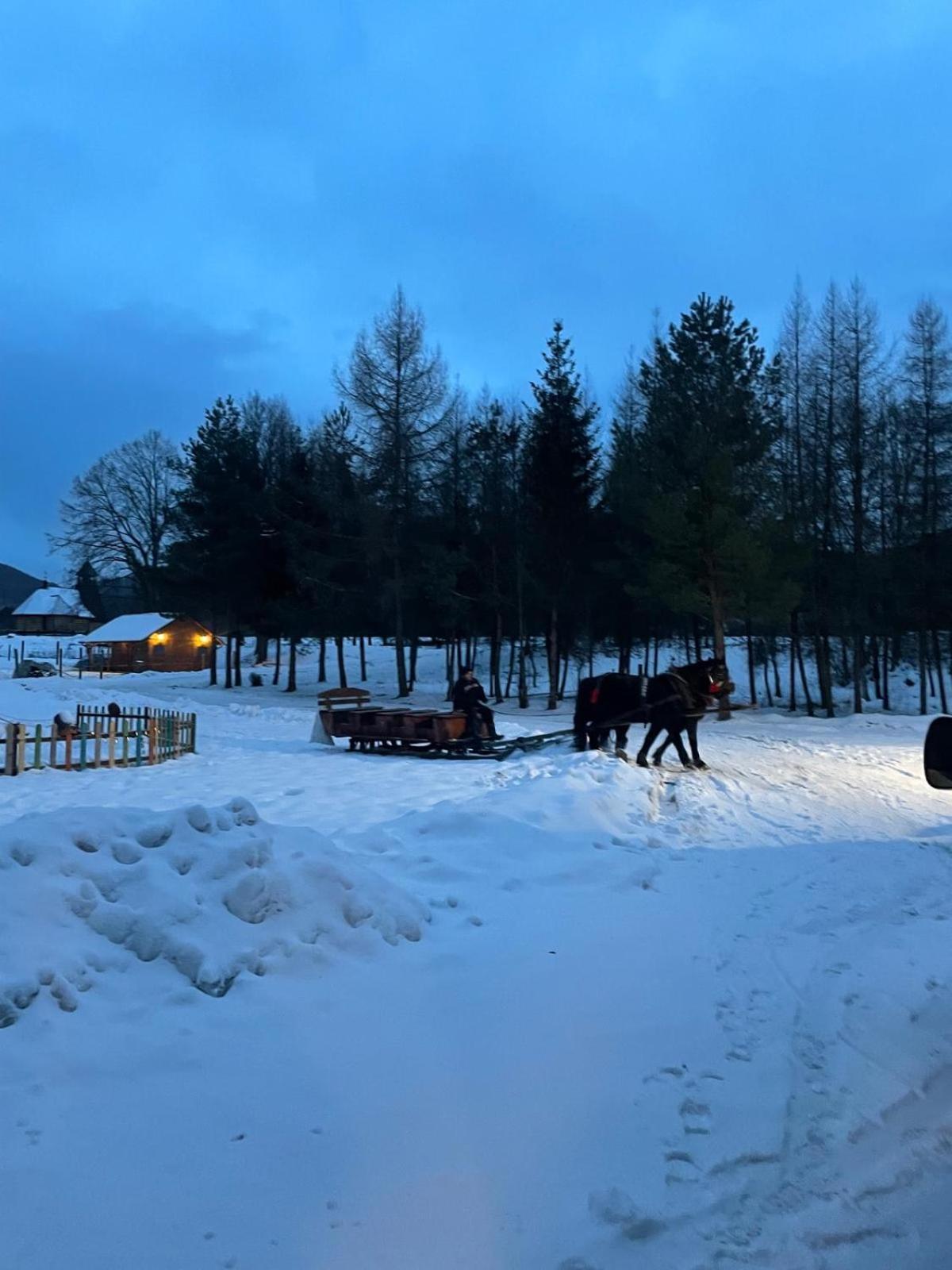 Hotel Latarnia Wagabundy Bieszczady à Wola Michowa Extérieur photo