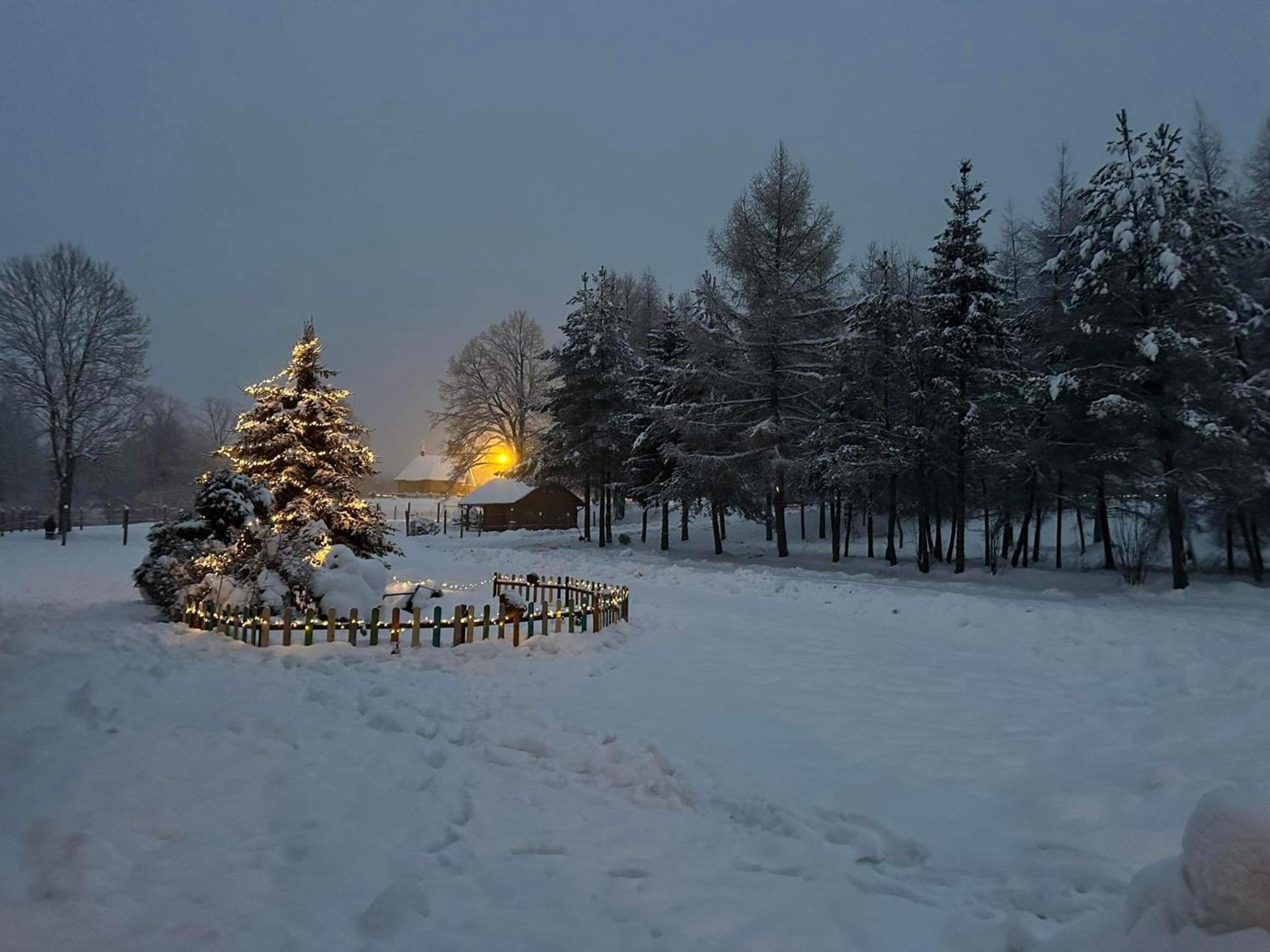Hotel Latarnia Wagabundy Bieszczady à Wola Michowa Extérieur photo
