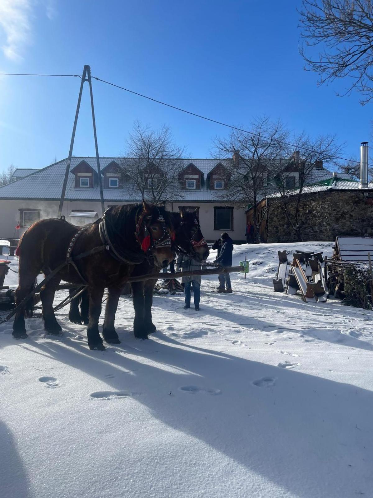 Hotel Latarnia Wagabundy Bieszczady à Wola Michowa Extérieur photo