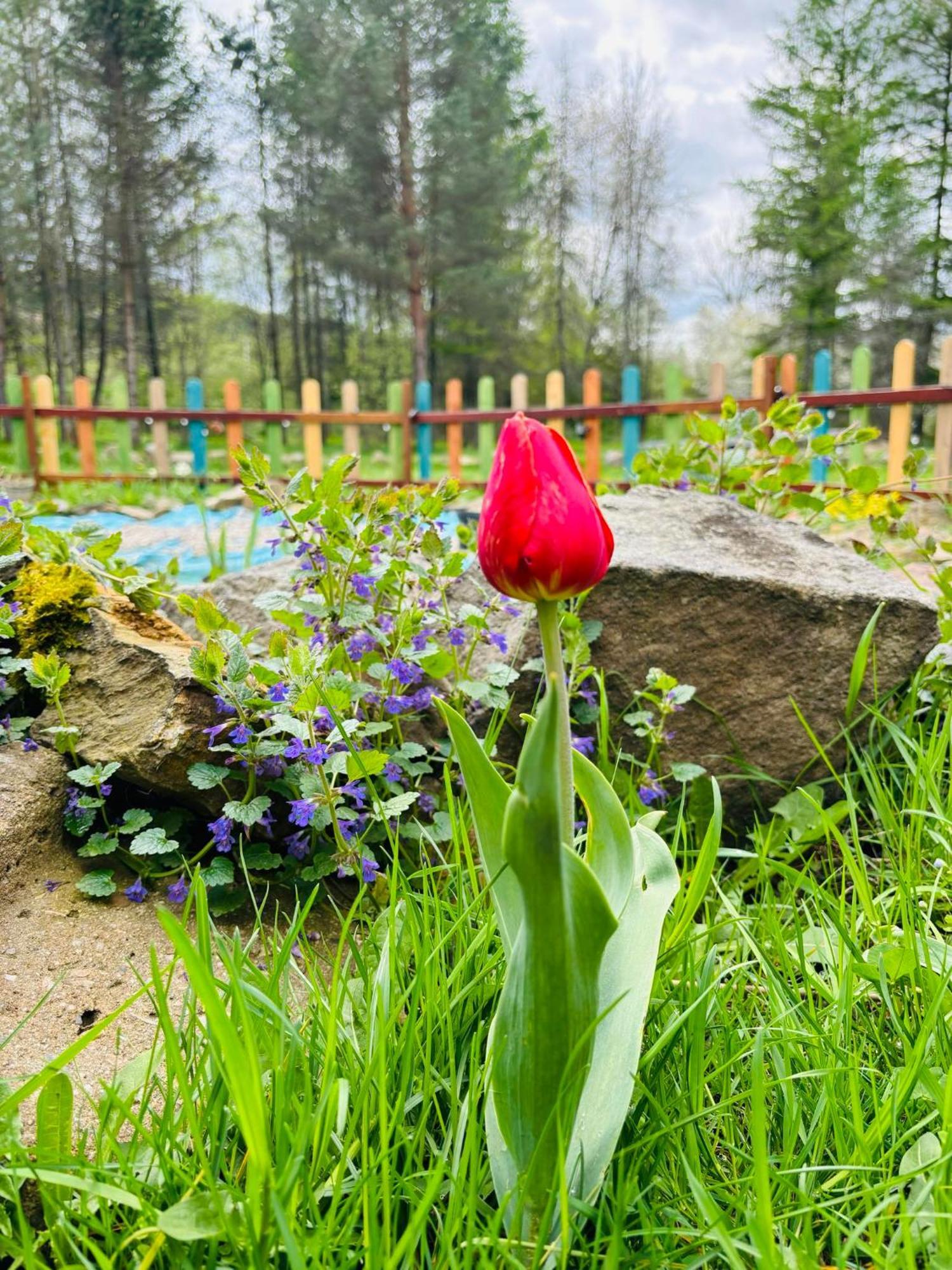Hotel Latarnia Wagabundy Bieszczady à Wola Michowa Extérieur photo