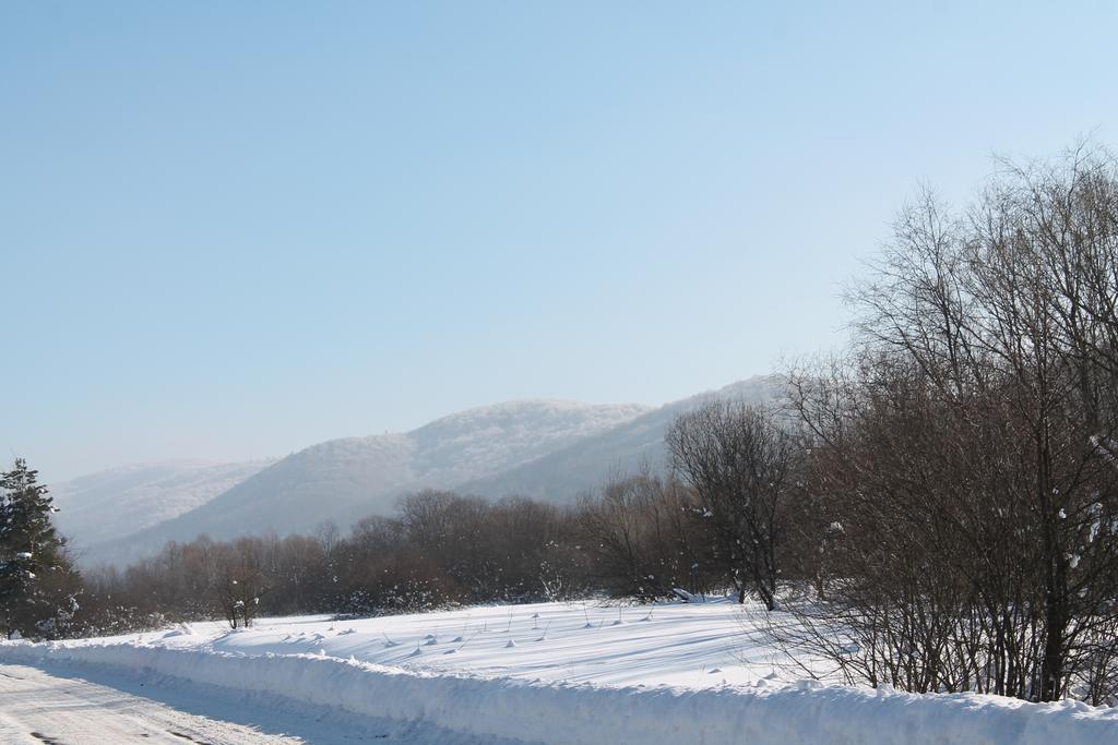 Hotel Latarnia Wagabundy Bieszczady à Wola Michowa Extérieur photo
